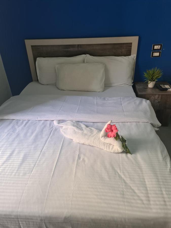 The Australian Hostel Cairo Ngoại thất bức ảnh